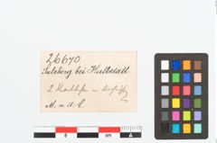 Etikett zu Bronzeanhänger (NHMW-PRAE-026670)